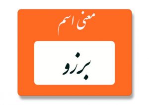 معنی اسم برزو
