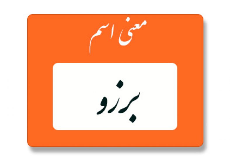 معنی اسم برزو