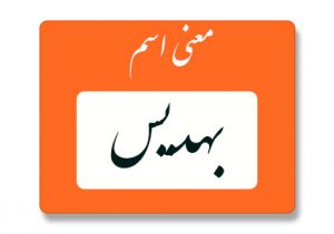 معنی اسم بهدیس