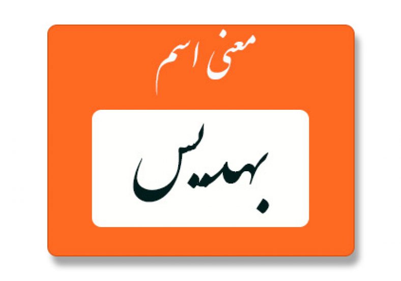 معنی اسم بهدیس