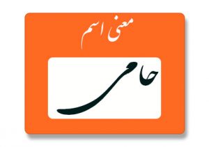 معنی اسم حامی