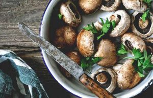 طرز تهیه غذا با قارچ