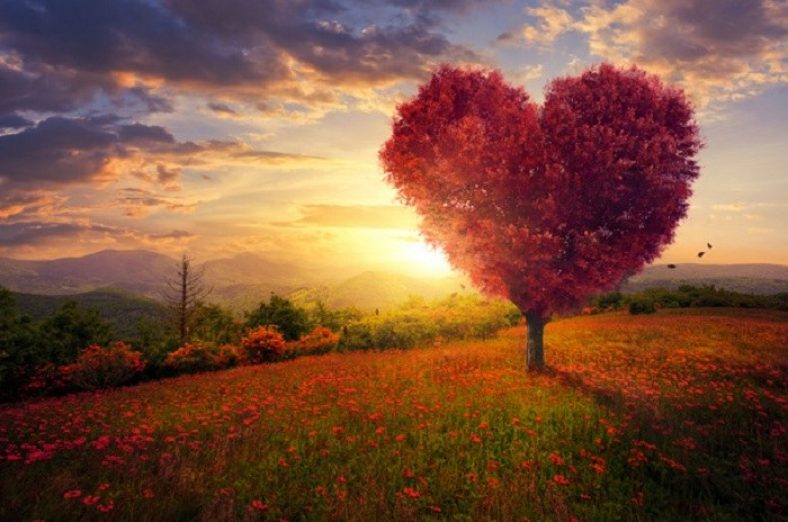 عکس منظره عاشقانه