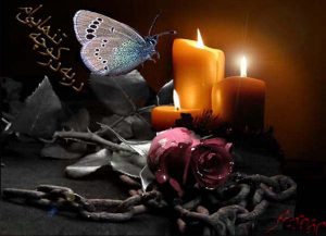 عکس پروفایل شمع و پروانه 