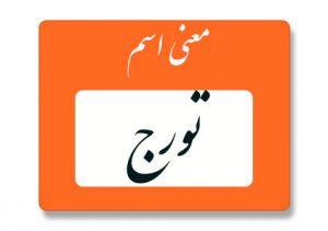 معنی اسم تورج