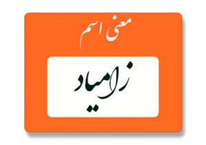 معنی اسم زامیاد