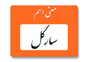 معنی اسم سارگل