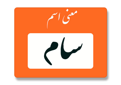 معنی اسم سام چیست؟ (ریشه، فراوانی و اسامی مشابه سام) - ستاره