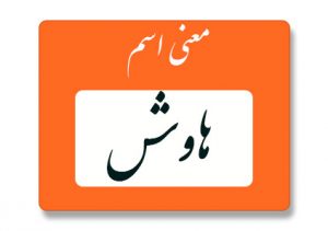 معنی اسم هاوش