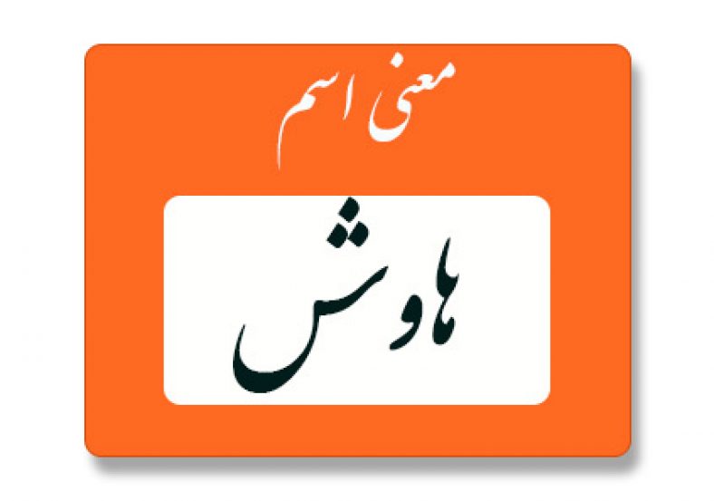 معنی اسم هاوش