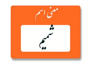 معنی اسم شمیم
