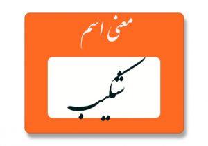 معنی اسم شکیب