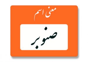 معنی اسم صنوبر