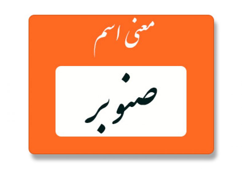 معنی اسم صنوبر