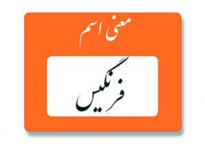 معنی اسم فرنگیس