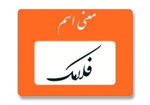 معنی اسم فلامک