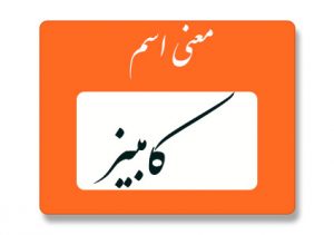 معنی اسم کامبیز