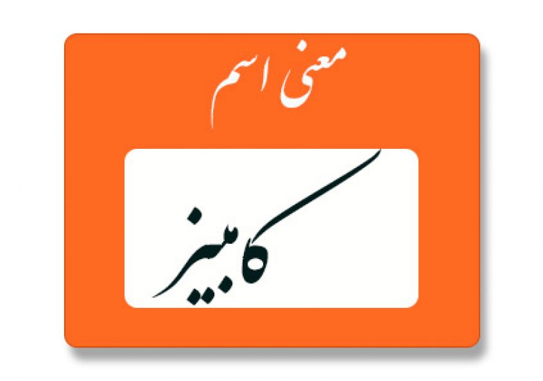 معنی اسم کامبیز