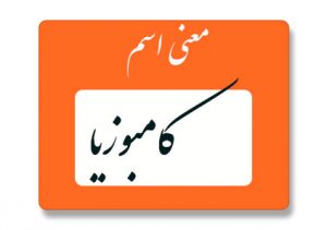 کامبوزیا