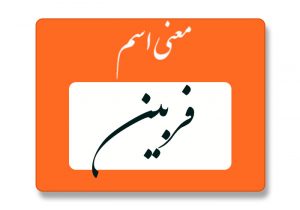 معنی اسم فربین