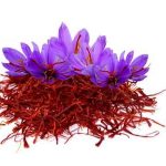 خواص گلبرگ های گل زعفران