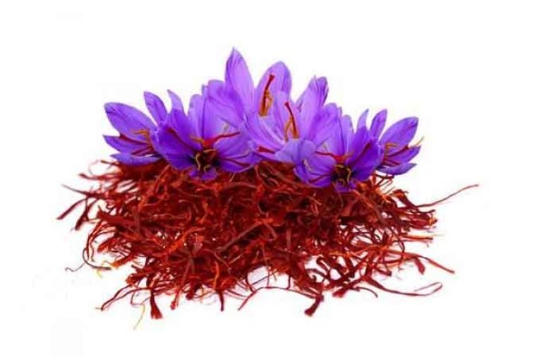 خواص گلبرگ های گل زعفران