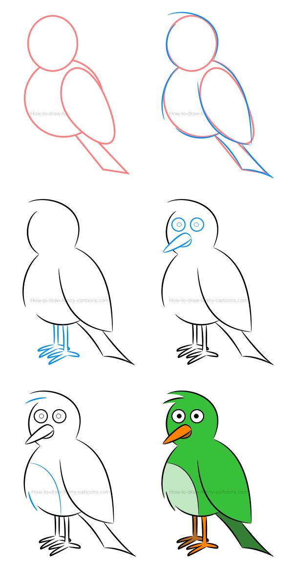 نقاشی پرنده برای کودکان