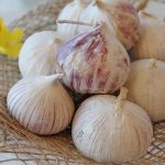 خواص موسیر ایرانی