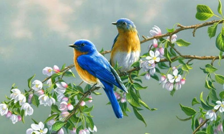 متن های زیبا و دلنشین