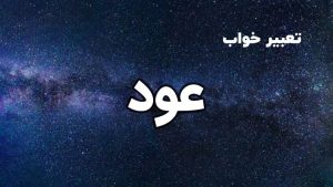 تعبیر خواب عود