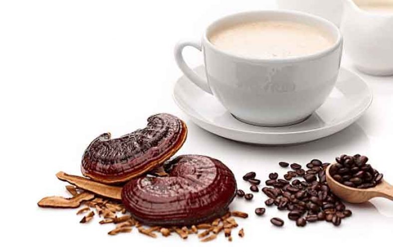 قهوه گانودرما