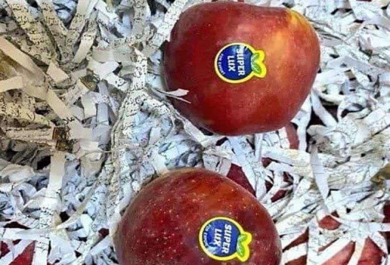 هتک حرمت به قرآن در بین سیب های صادراتی