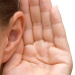لاله گوش در شنیدن صدا چه نقشی دارد