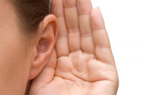لاله گوش در شنیدن صدا چه نقشی دارد