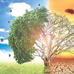 تغییرهای محیط اطراف