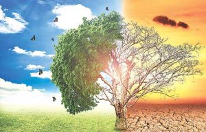 تغییرهای محیط اطراف