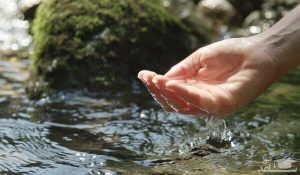 ضرب المثل آب پاکی را روی دستش ریخت