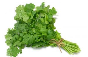 کالری گشنیز