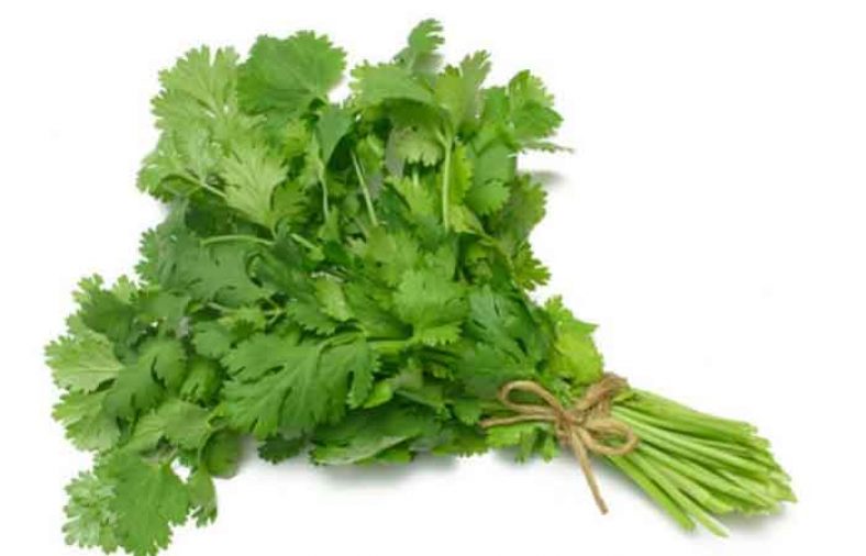 کالری گشنیز