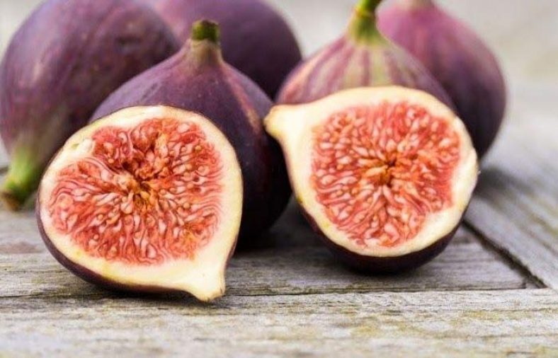 طبع انجیر