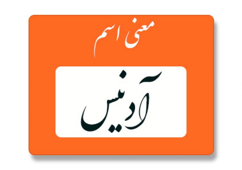 آدنیس