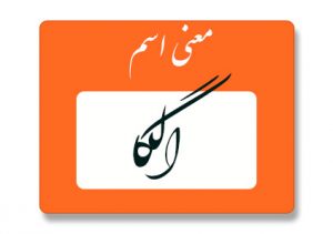 الگا