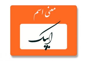 ایپک
