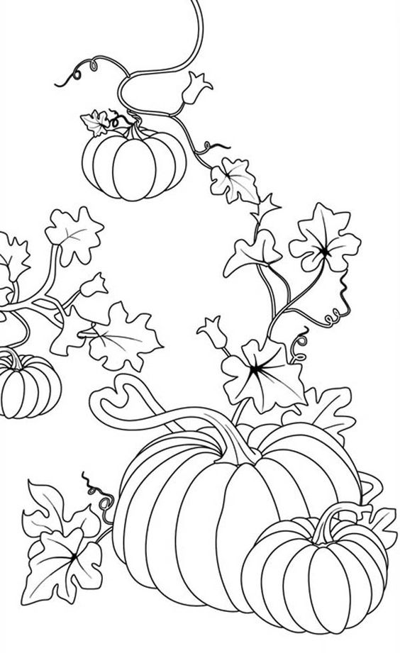 نقاشی پاییز و کدو تنبل برای رنگ آمیزی کودکان