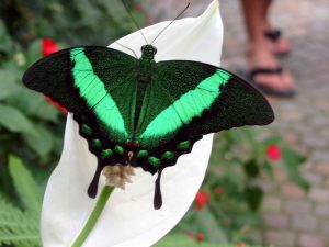 جملات و متن های زیبا و خواندنی