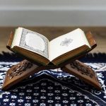 سوره هایی به نام جانوران