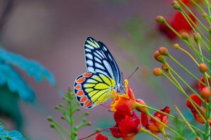 جملات و متن های زیبا و خواندنی