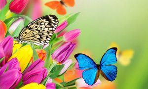 جملات و متن های زیبا و خواندنی
