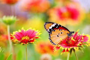جملات و متن های زیبا و خواندنی