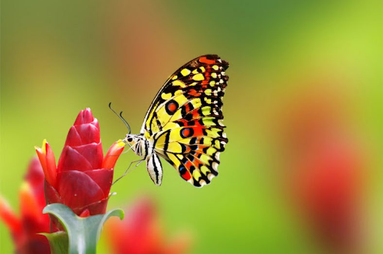 جملات و متن های زیبا و خواندنی
